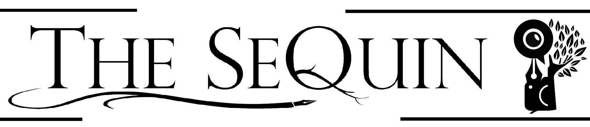 Sequin Newsletter- Newsletter 2020